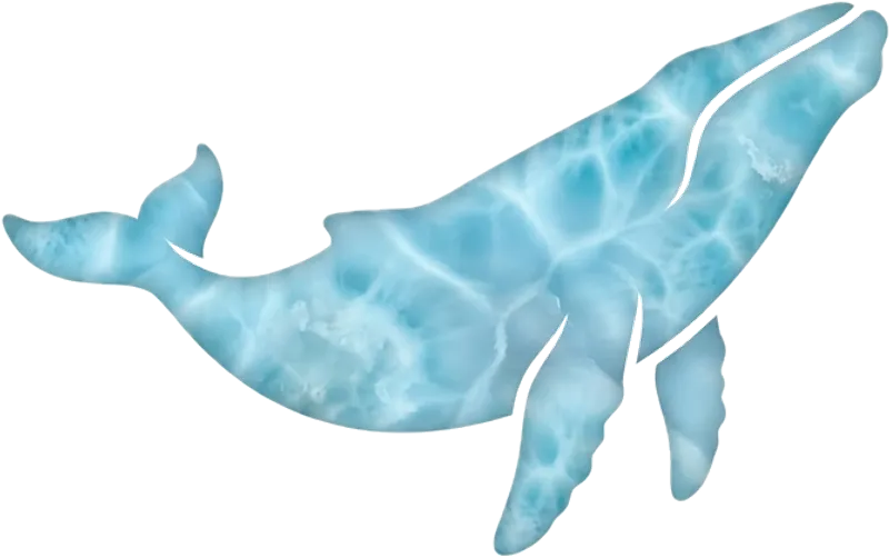 Whale silhouette